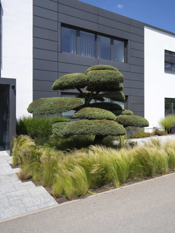 referenz-brooks-2 referenz-brooks-2